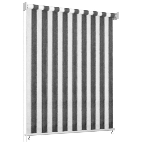 312692 Outdoor Roller Blind 60x230 cm Anthracite and White Stripe